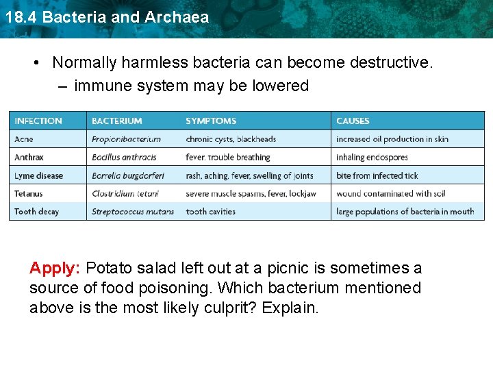 18. 4 Bacteria and Archaea • Normally harmless bacteria can become destructive. – immune