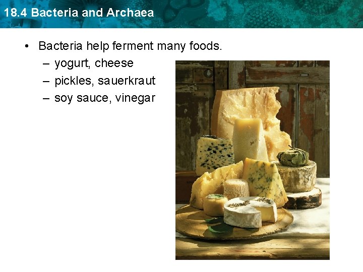 18. 4 Bacteria and Archaea • Bacteria help ferment many foods. – yogurt, cheese