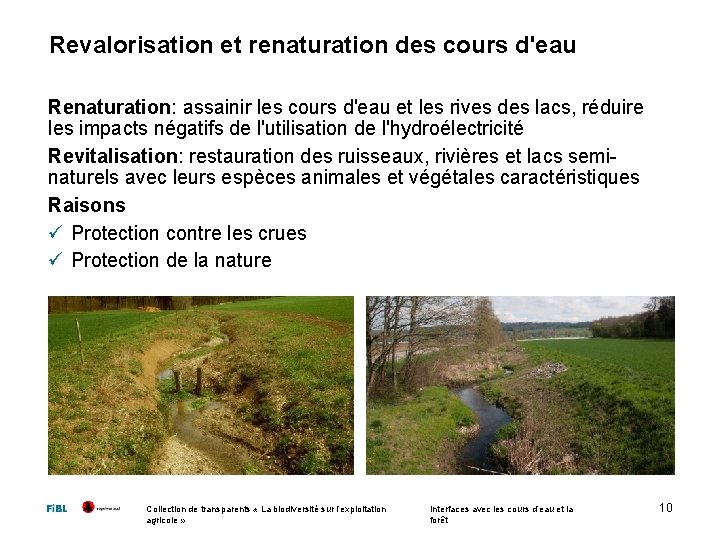 Revalorisation et renaturation des cours d'eau Renaturation: assainir les cours d'eau et les rives