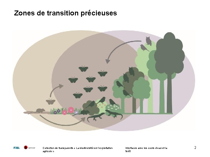 Zones de transition précieuses Collection de transparents « La biodiversité sur l’exploitation agricole »