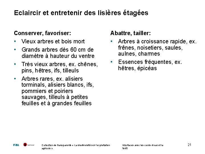 Eclaircir et entretenir des lisières étagées Conserver, favoriser: • Vieux arbres et bois mort