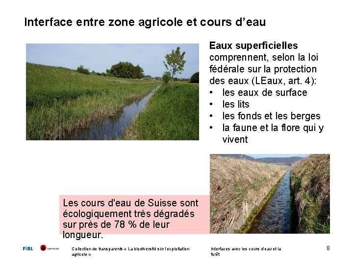 Interface entre zone agricole et cours d’eau Eaux superficielles comprennent, selon la loi fédérale