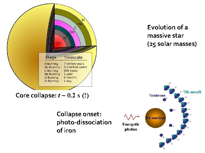 Evolution of a massive star (25 solar masses) Core collapse: t ~ 0. 2