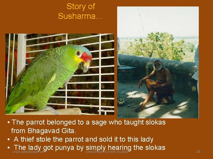 Story of Susharma… • The parrot belonged to a sage who taught slokas from