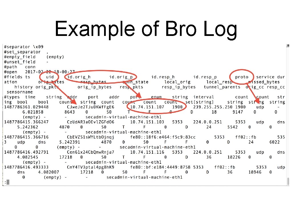 Example of Bro Log 