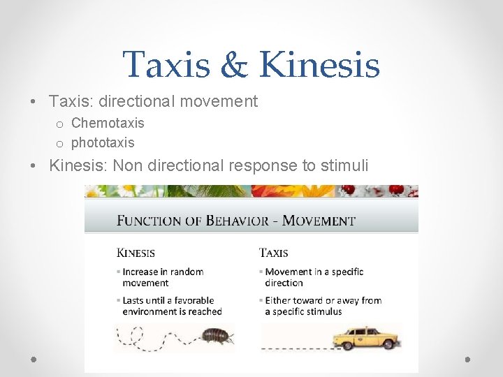 Taxis & Kinesis • Taxis: directional movement o Chemotaxis o phototaxis • Kinesis: Non