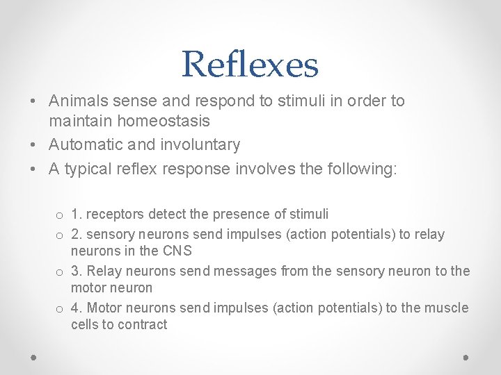 Reflexes • Animals sense and respond to stimuli in order to maintain homeostasis •