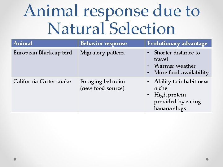Animal response due to Natural Selection Animal Behavior response Evolutionary advantage European Blackcap bird