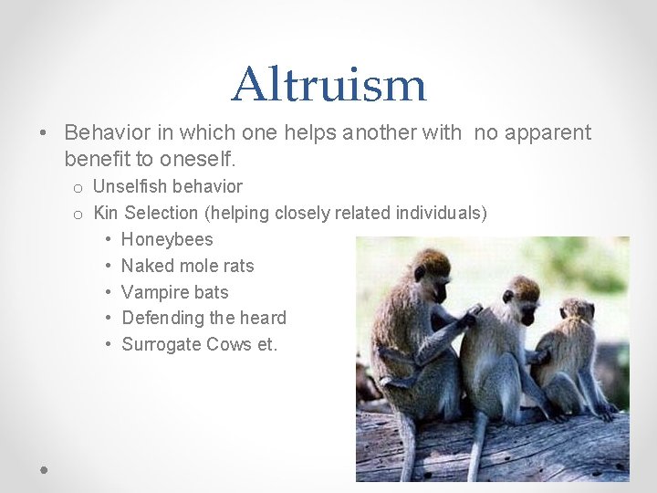 Altruism • Behavior in which one helps another with no apparent benefit to oneself.