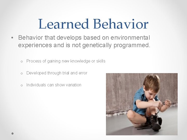 Learned Behavior • Behavior that develops based on environmental experiences and is not genetically