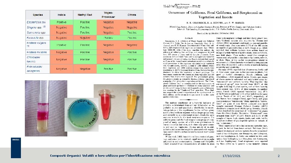 Composti Organici Volatili e loro utilizzo per l’identificazione microbica 17/10/2021 2 