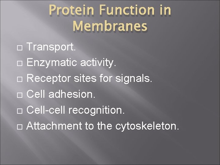 Protein Function in Membranes Transport. Enzymatic activity. Receptor sites for signals. Cell adhesion. Cell-cell