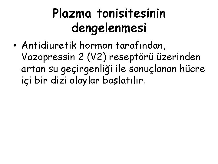 Plazma tonisitesinin dengelenmesi • Antidiuretik hormon tarafından, Vazopressin 2 (V 2) reseptörü üzerinden artan