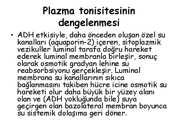 Plazma tonisitesinin dengelenmesi • ADH etkisiyle, daha önceden oluşan özel su kanalları (aquaporin-2) içeren,