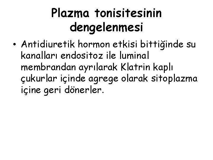 Plazma tonisitesinin dengelenmesi • Antidiuretik hormon etkisi bittiğinde su kanalları endositoz ile luminal membrandan