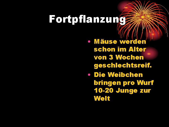 Fortpflanzung • Mäuse werden schon im Alter von 3 Wochen geschlechtsreif. • Die Weibchen