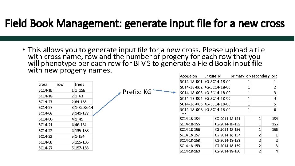 Field Book Management: generate input file for a new cross • This allows you
