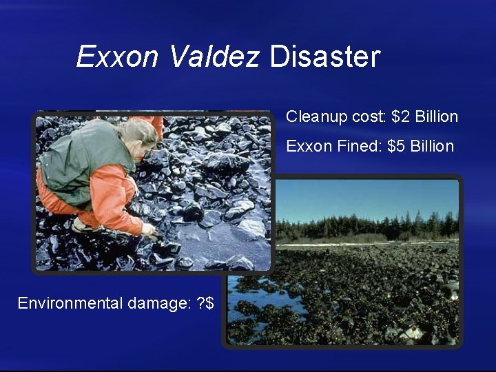 Exxon Valdez Disaster Cleanup cost: $2 Billion Exxon Fined: $5 Billion Environmental damage: ?