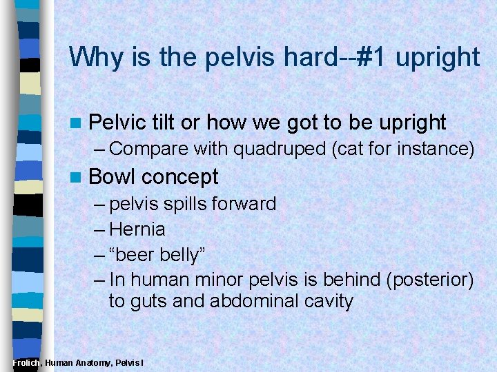 Why is the pelvis hard--#1 upright n Pelvic tilt or how we got to