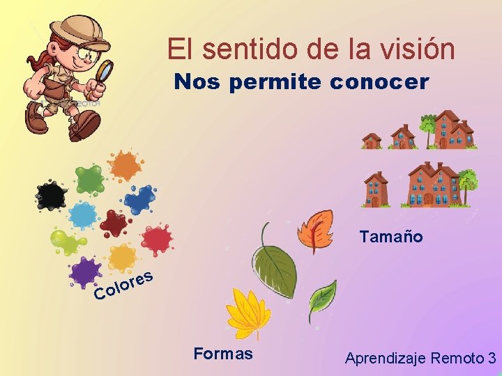 El sentido de la visión Nos permite conocer Tamaño C s e r o