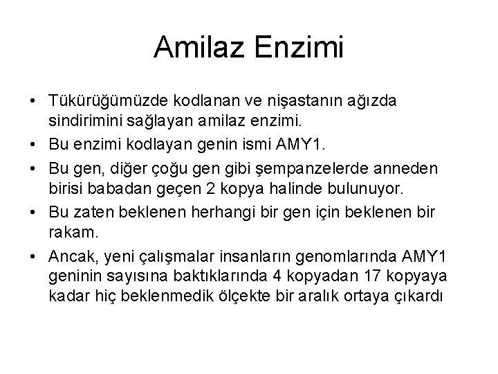 Amilaz Enzimi • Tükürüğümüzde kodlanan ve nişastanın ağızda sindirimini sağlayan amilaz enzimi. • Bu