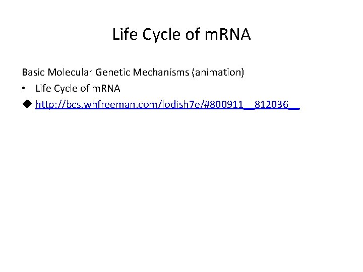 Life Cycle of m. RNA Basic Molecular Genetic Mechanisms (animation) • Life Cycle of