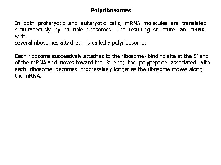 Polyribosomes In both prokaryotic and eukaryotic cells, m. RNA molecules are translated simultaneously by