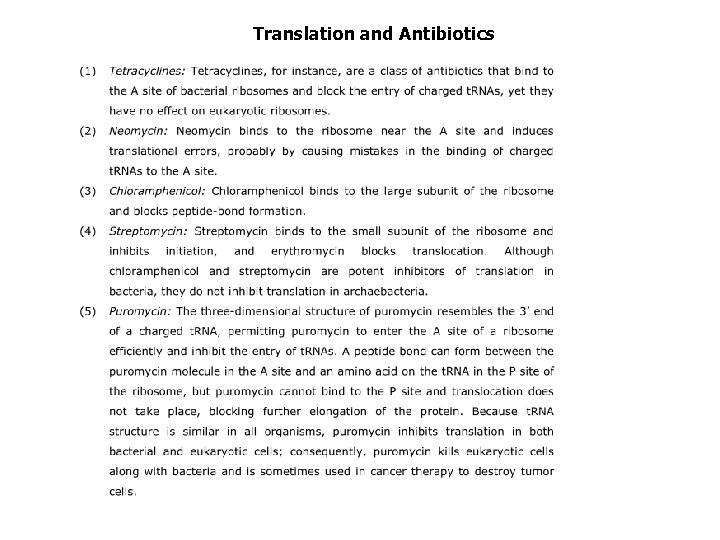 Translation and Antibiotics 