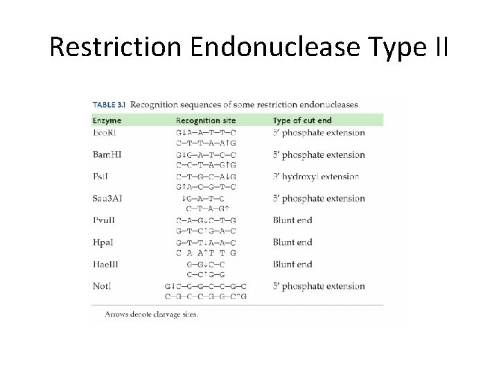 Restriction Endonuclease Type II 