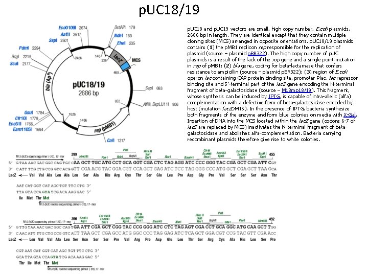 p. UC 18/19 p. UC 18 and p. UC 19 vectors are small, high