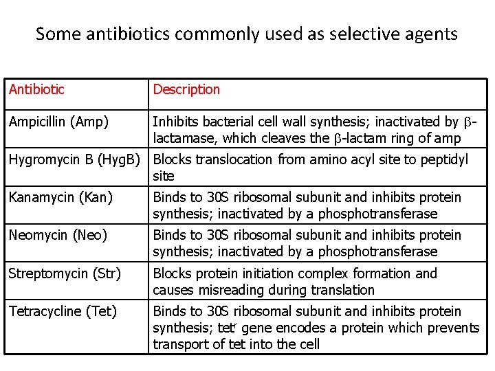 Some antibiotics commonly used as selective agents Antibiotic Description Ampicillin (Amp) Inhibits bacterial cell
