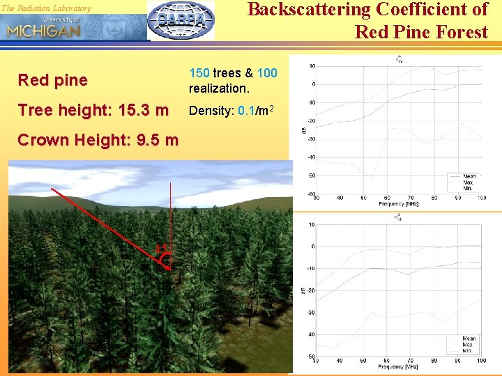Backscattering Coefficient of Red Pine Forest The Radiation Laboratory Red pine 150 trees &