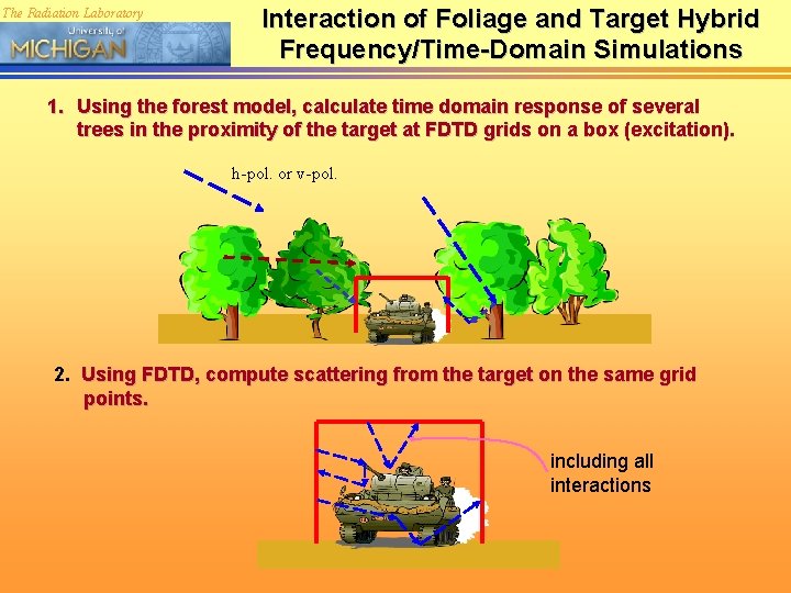 The Radiation Laboratory Interaction of Foliage and Target Hybrid Frequency/Time-Domain Simulations 1. Using the