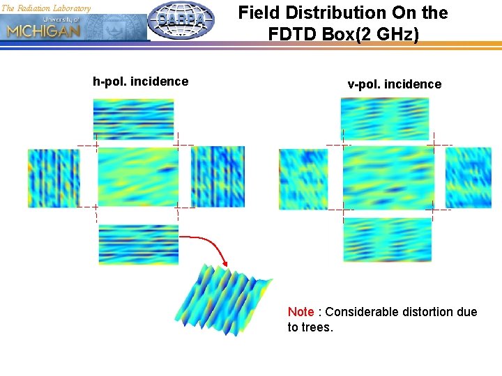 Field Distribution On the FDTD Box(2 GHz) The Radiation Laboratory h-pol. incidence v-pol. incidence