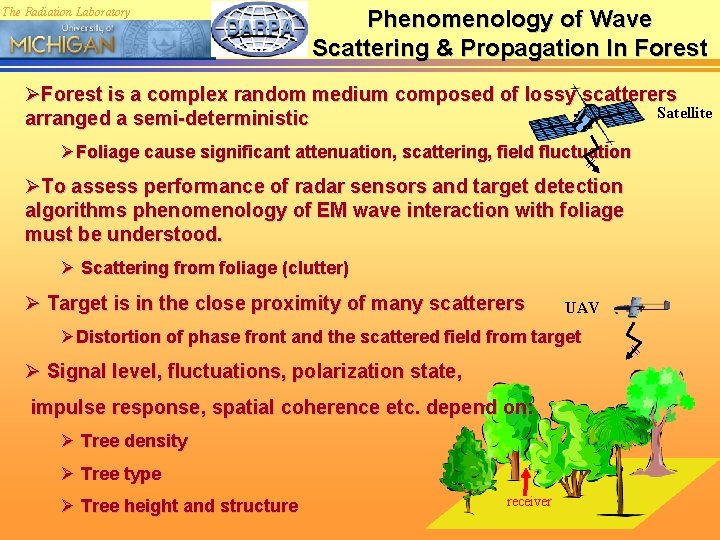 The Radiation Laboratory Phenomenology of Wave Scattering & Propagation In Forest ØForest is a