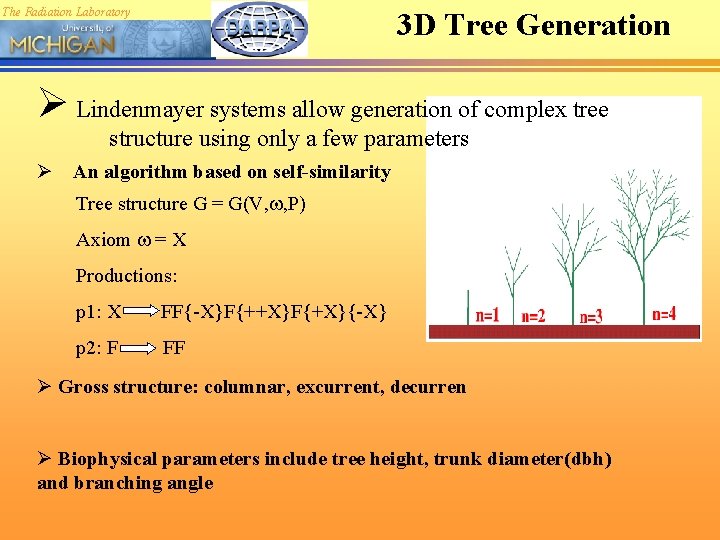 The Radiation Laboratory 3 D Tree Generation Ø Lindenmayer systems allow generation of complex
