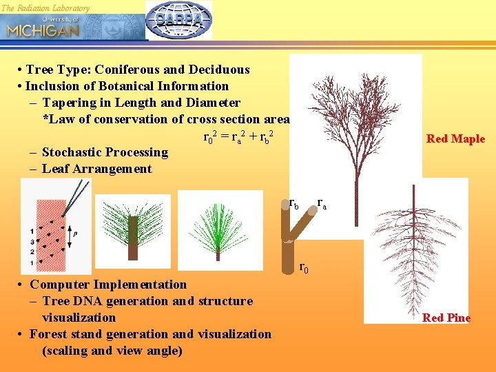 The Radiation Laboratory • Tree Type: Coniferous and Deciduous • Inclusion of Botanical Information