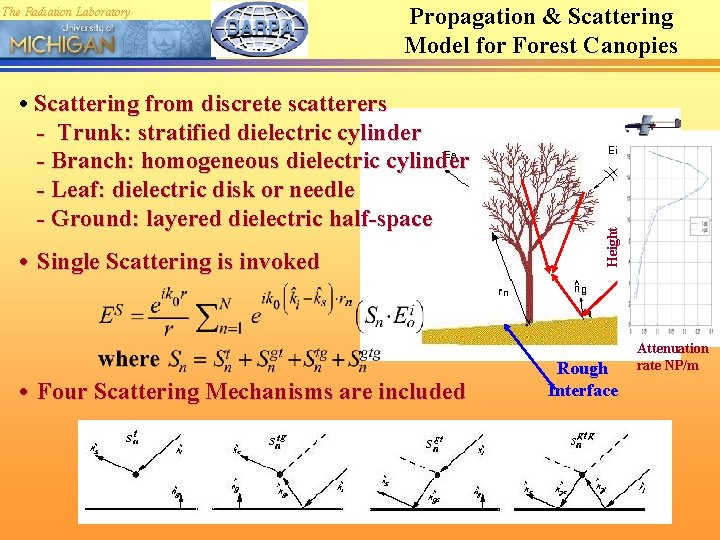 Propagation & Scattering Model for Forest Canopies • Scattering from discrete scatterers - Trunk: