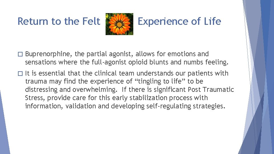 Return to the Felt Experience of Life � Buprenorphine, the partial agonist, allows for