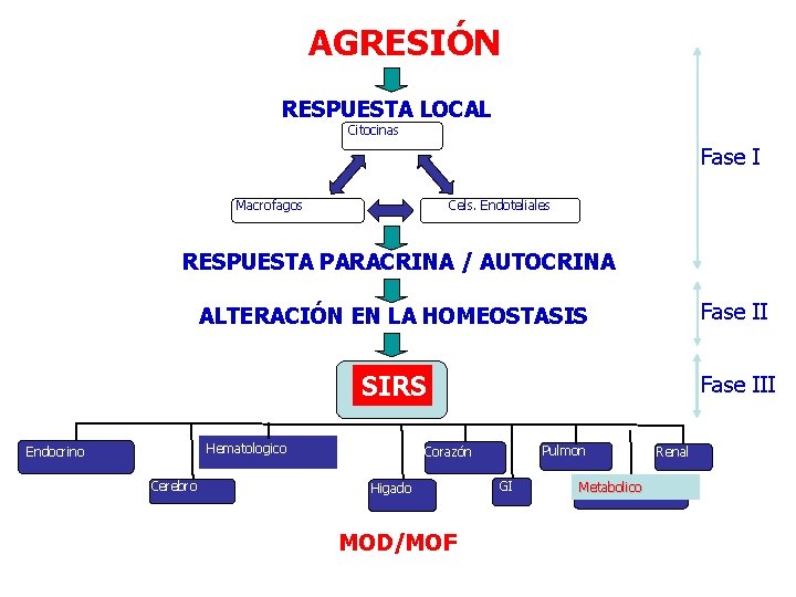 AGRESIÓN RESPUESTA LOCAL Citocinas Fase I Macrofagos Cels. Endoteliales RESPUESTA PARACRINA / AUTOCRINA ALTERACIÓN