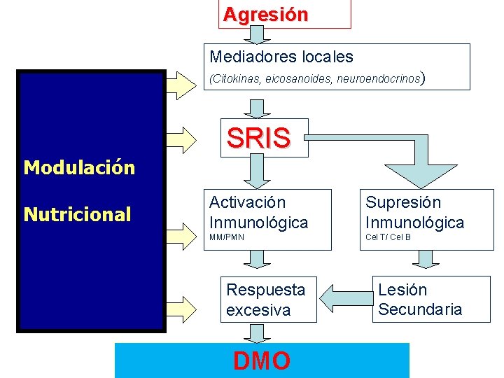 Agresión Mediadores locales (Citokinas, eicosanoides, neuroendocrinos) Modulación Nutricional SRIS Activación Inmunológica Supresión Inmunológica MM/PMN