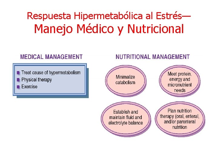 Respuesta Hipermetabólica al Estrés— Manejo Médico y Nutricional 