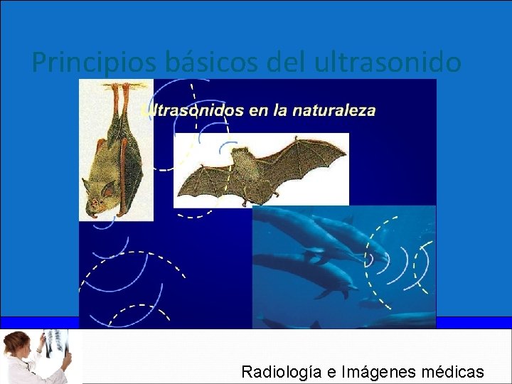 Principios básicos del ultrasonido Radiología e Imágenes médicas 