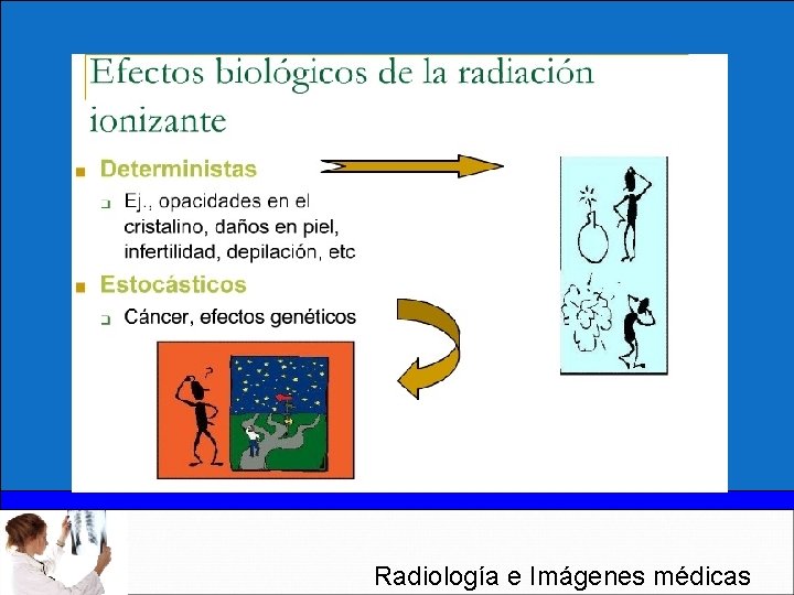 Radiología e Imágenes médicas 