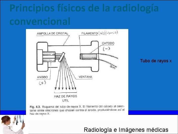 Principios físicos de la radiología convencional Tubo de rayos x Radiología e Imágenes médicas