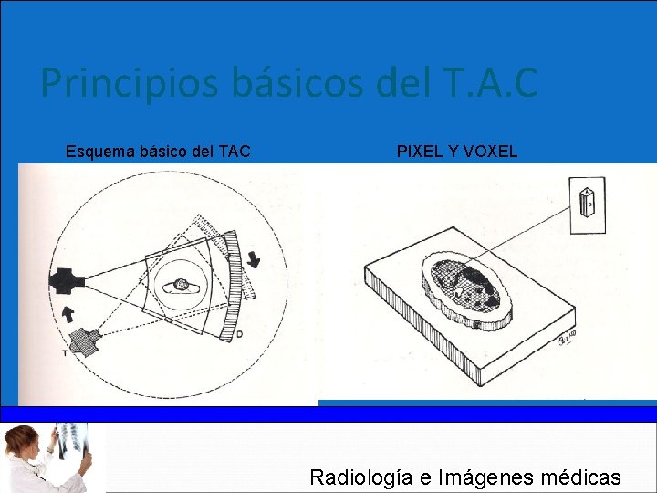 Principios básicos del T. A. C Esquema básico del TAC PIXEL Y VOXEL Radiología