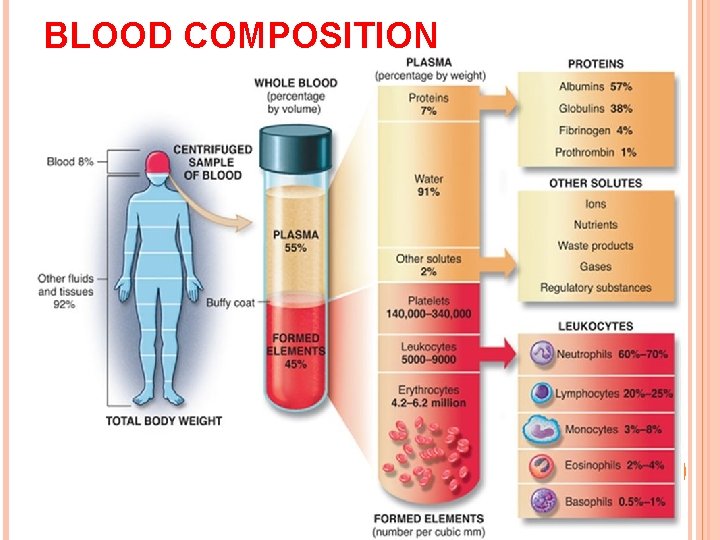 BLOOD COMPOSITION 