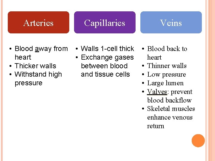 Arteries Capillaries • Blood away from heart • Thicker walls • Withstand high pressure