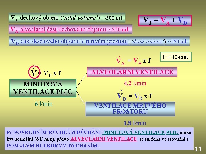 VT dechový objem (‘tidal volume’) ~500 ml VT = VA + VD VA alveolární
