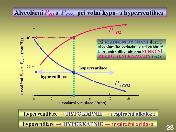 Alveolární PO 2 a PCO 2 při volní hypo- a hyperventilaci alveolární PO 2